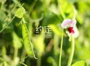 开云体育下载-文班亚马彻底打爆防线！广厦队对阵奇才的战术启示