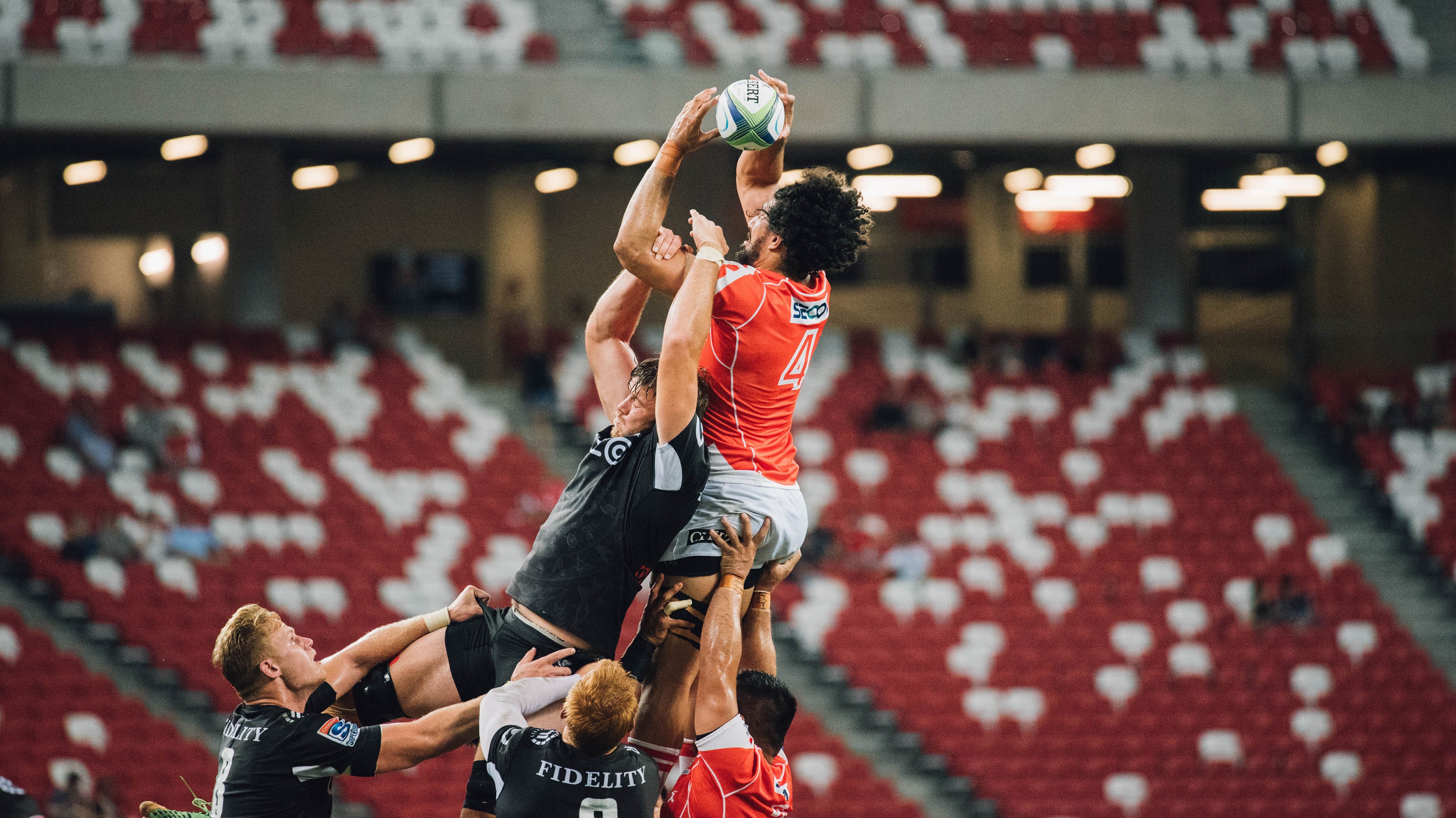 羽翼与舞步，跨越山海的双重奏